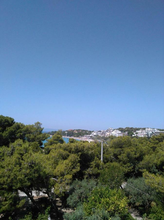 Comfortable Garden Apt Near Vouliagmeni Beach Athene Buitenkant foto